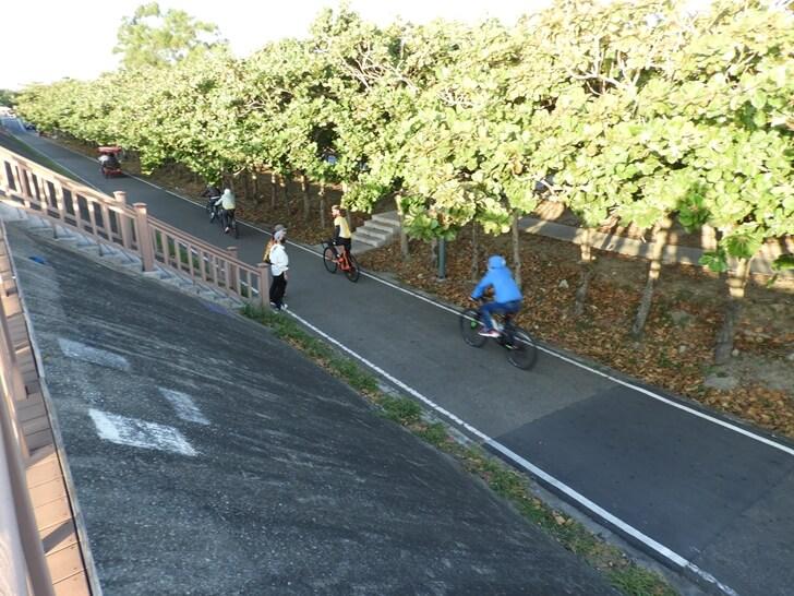 香山濕地旁的自行車道