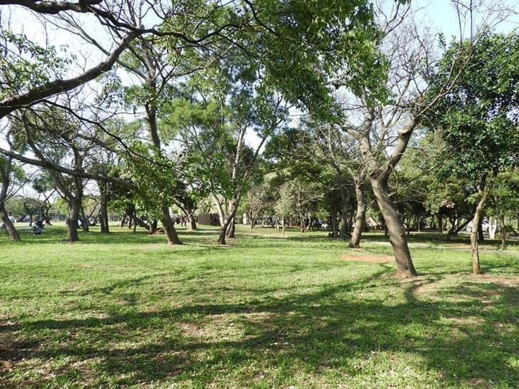 超愛崙坪文化地景園區的綠樹及草地