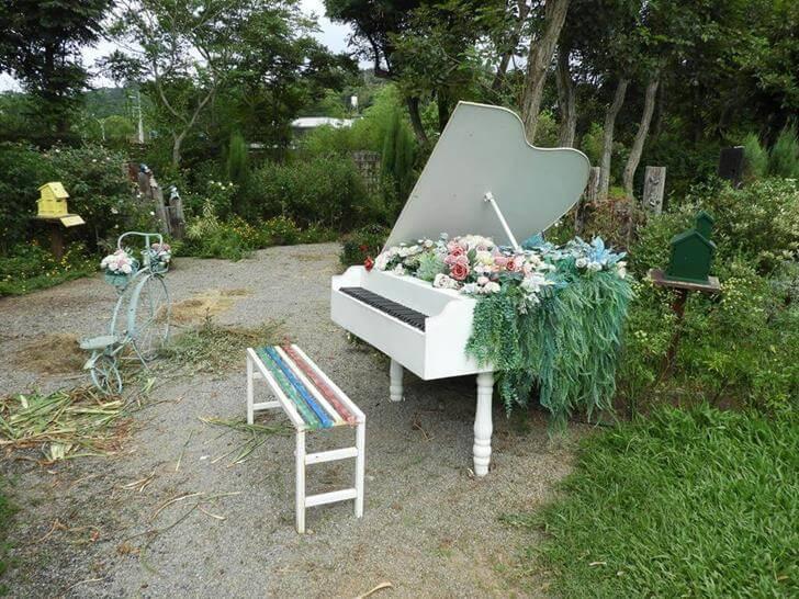 香草植物群中的白色鋼琴